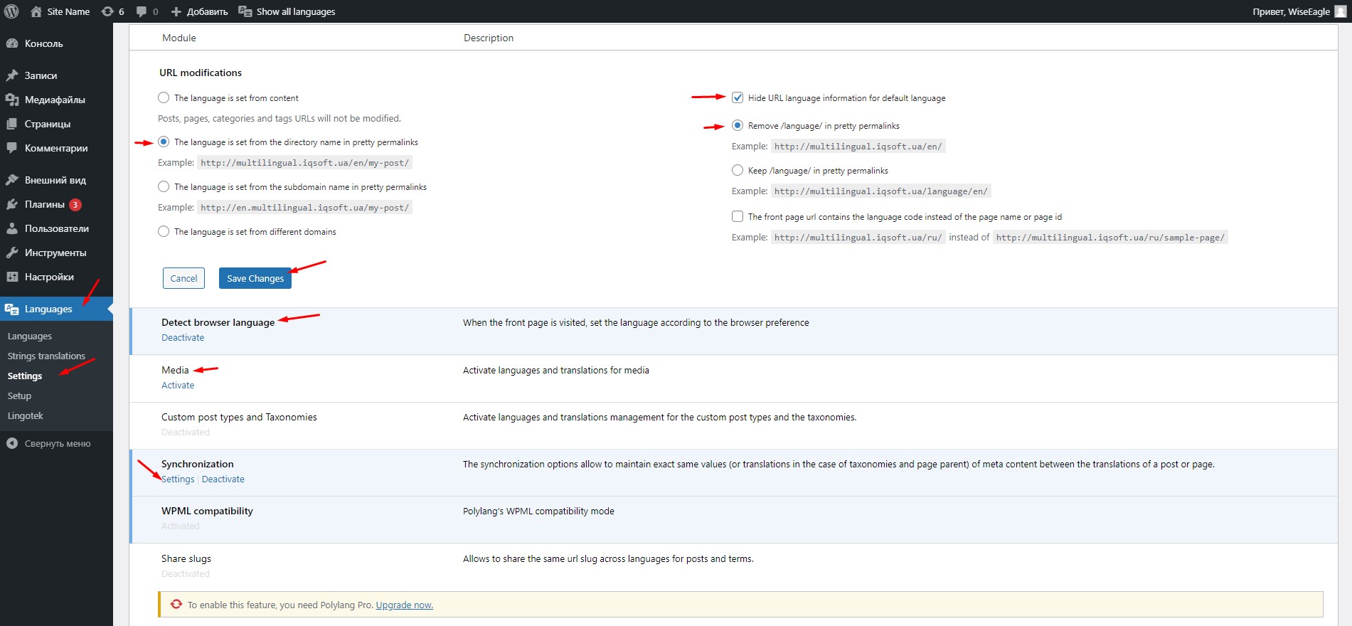 Polylang settings